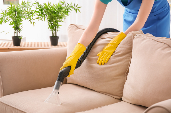 3 biện pháp khắc phục mùi hôi trên ghế sofa tại nhà bằng các dung dịch khử mùi tự nhiên